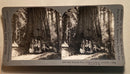 Stereoscope Card - The Wawona Tree, Yosemite Valley - used
