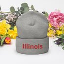 Illinois II Cuffed Beanie