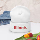 Illinois II Cuffed Beanie