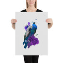 Peacock Poster 18x24