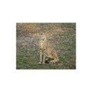 Leopard Jigsaw Puzzle