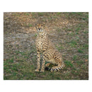 Leopard Jigsaw Puzzle