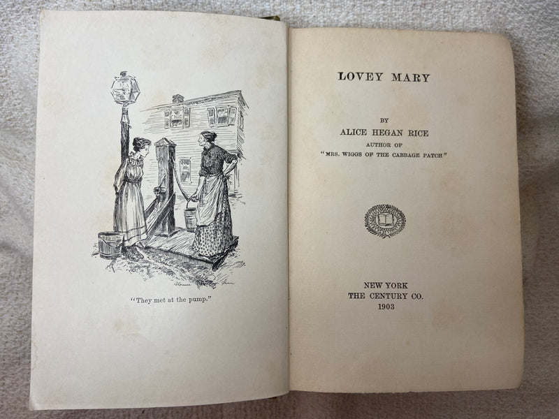 Lovely Mary [Book]