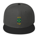 Kiss Me I'm Irish! Four Leaf Clover Snapback Hat