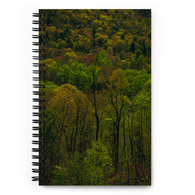 Dark Forest, Notebook
