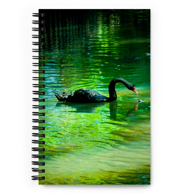 Black Swan, Notebook