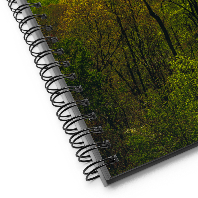 Dark Forest, Notebook