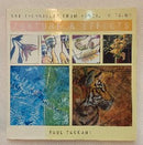 Texture & Effects (Art Techniques From Pencil To Paint)